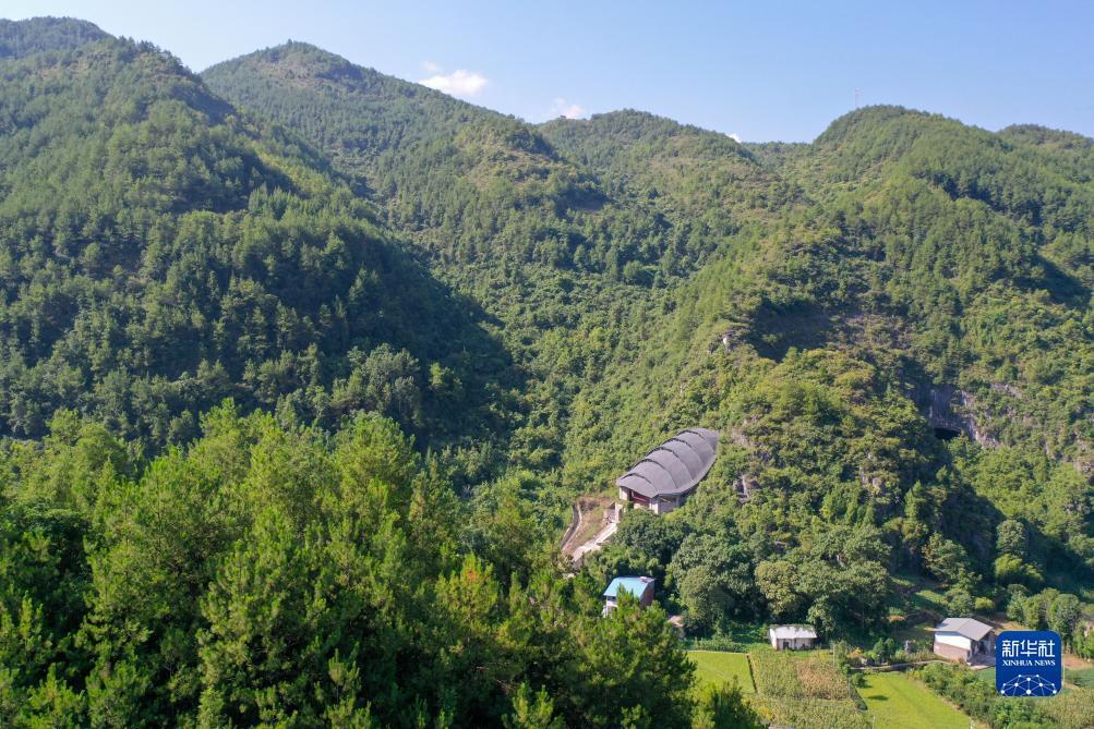 澳门百老汇线4001